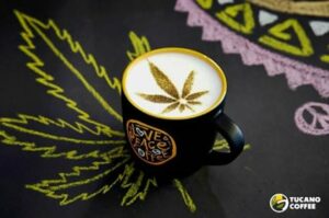 Cannabis-Coffee-Growing-in-Popularity-As-Consumers-Grow-Wise-To-Health-Benefits