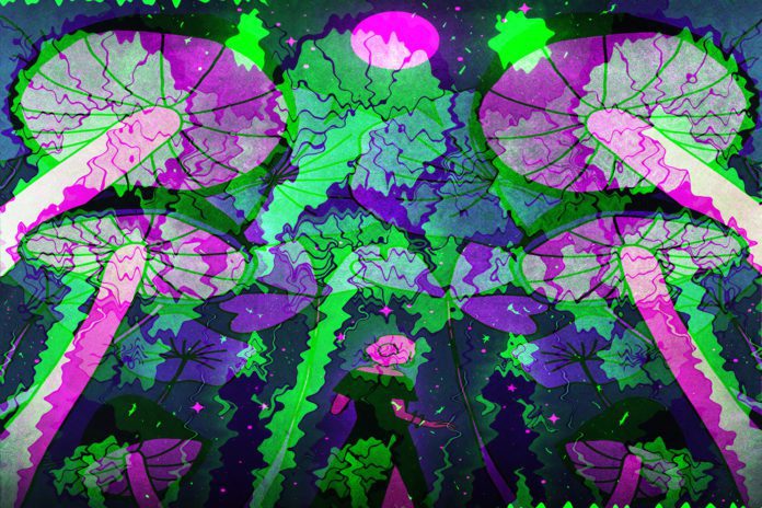 Trip Prepping 101: Tips to Get the Most of Your Psychedelic Experience