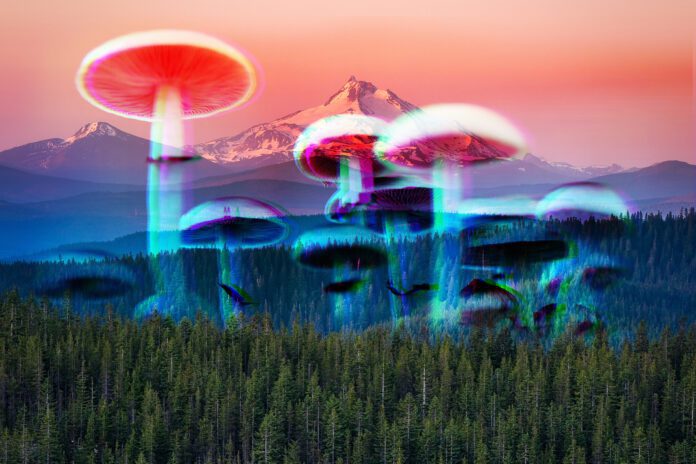 Oregon Begins Legal Use of Psychedelic Mushrooms
