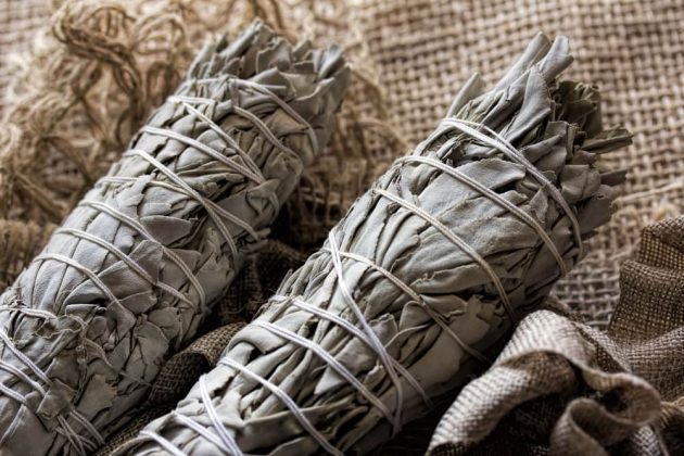 From Colds To Cancer, How Sage Is Essential To Health - Sociedelic