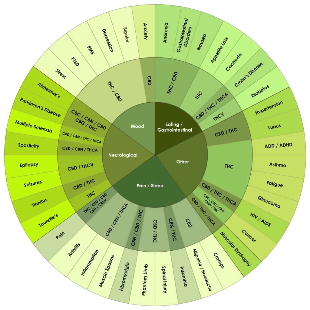Cannabis, The Endocannabinoid System, And Good Health