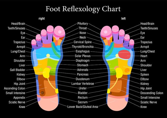 Foot Pressure Points Reflexology Chart