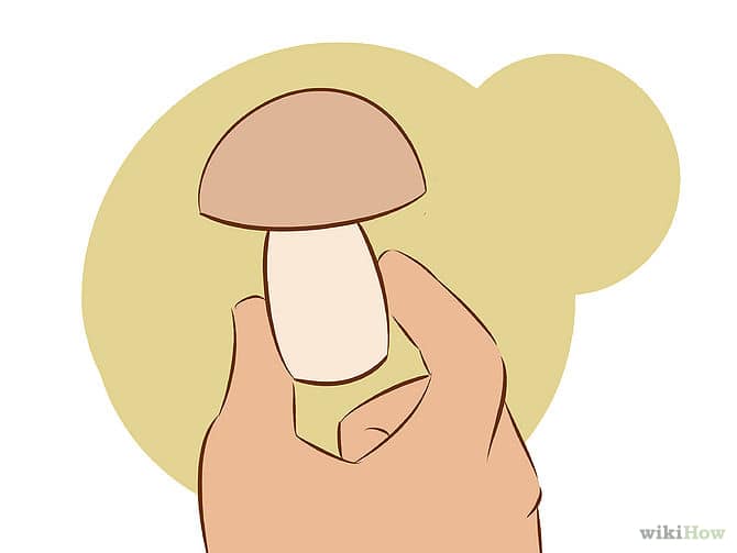 670px-Grow-Edible-Mushrooms-Step-13