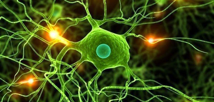 Watch What Happens When Cannabis Ravages Cancer Cells. This Is Mind Blowing Watch What Happens When Cannabis Ravages Cancer Cells. This Is Mind Blowing