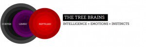 the-tree-brains1-300x98