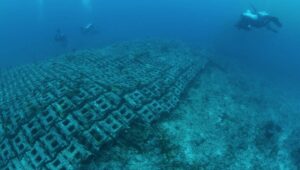 The Bimini Road