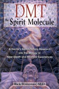 DMT: The Spirit Molecule