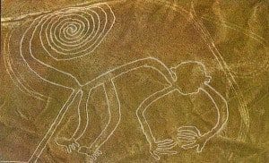 Nazca Monkey