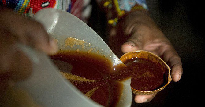 Picture taken on August 09, 2014, of a healer starting a yage ceremony by offering what they call the medicinal plant to a person taking part of the ritual, in La Calera, Cundinamarca department, Colombia. Yage, a mixture of the Ayahuasca hallucinogenic liana and a psychoactive bush, attracts many people in Colombia, who seek to participate in a traditional indigenous ritual of spiritual and physical healing impossible to realize in many countries where these plants are considered drugs. AFP PHOTO/EITAN ABRAMOVICH (Photo credit should read EITAN ABRAMOVICH/AFP/Getty Images)