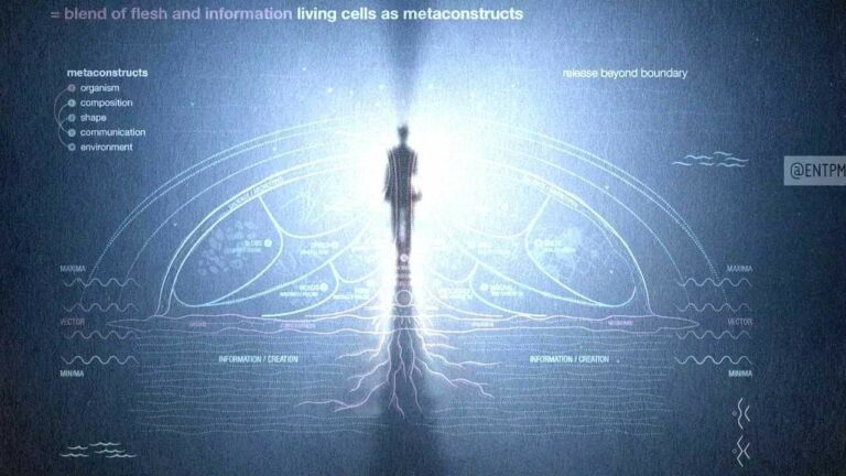 The Psychedelic Experience The Psychedelic Experience