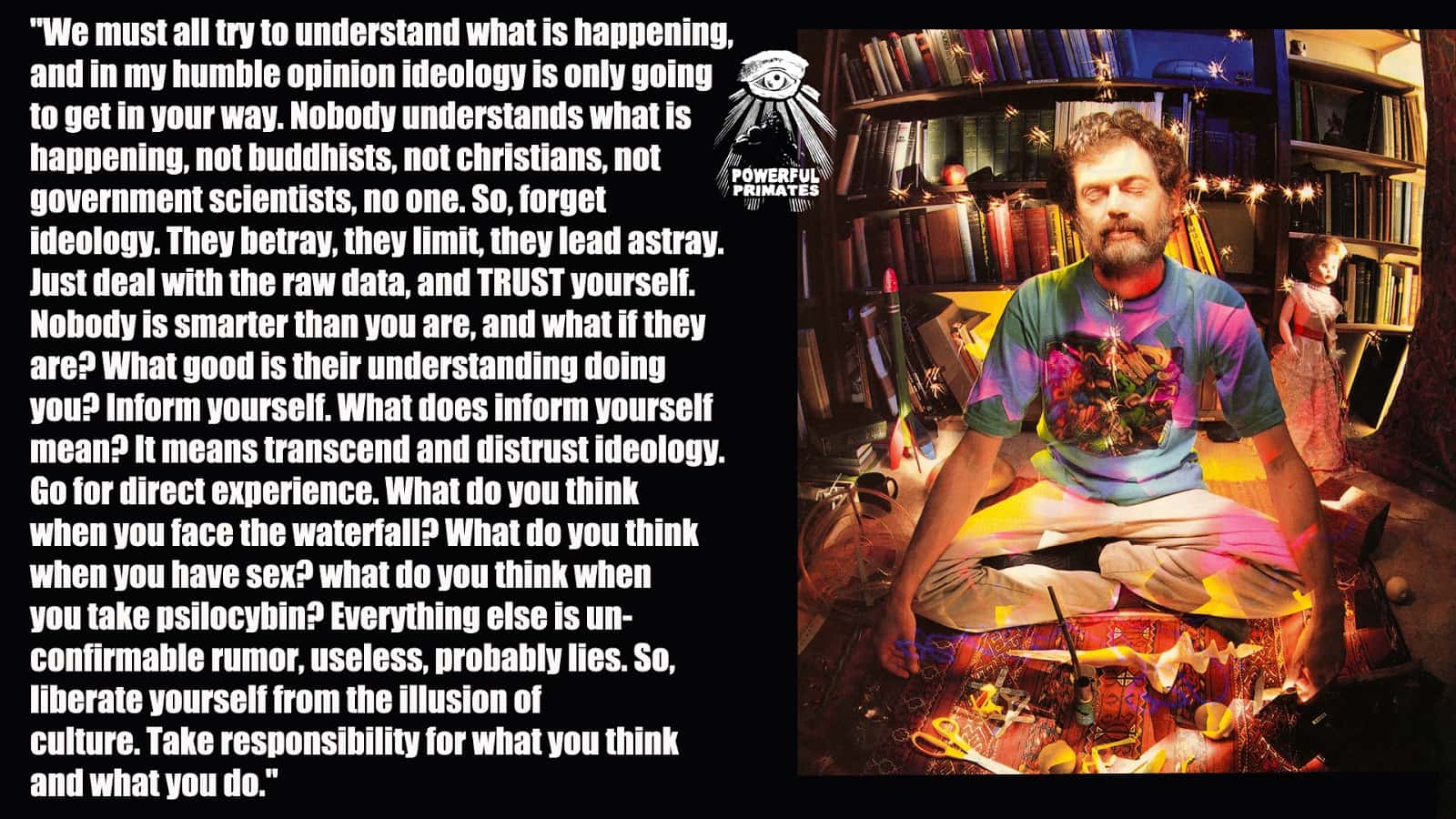 Understand doing. Terence MCKENNA quotes. Машина Теренс МАККЕННА. Джей МАККЕННА цитаты. Gaia hypothesis