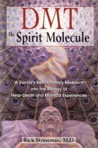 DMT: The Spirit Molecule