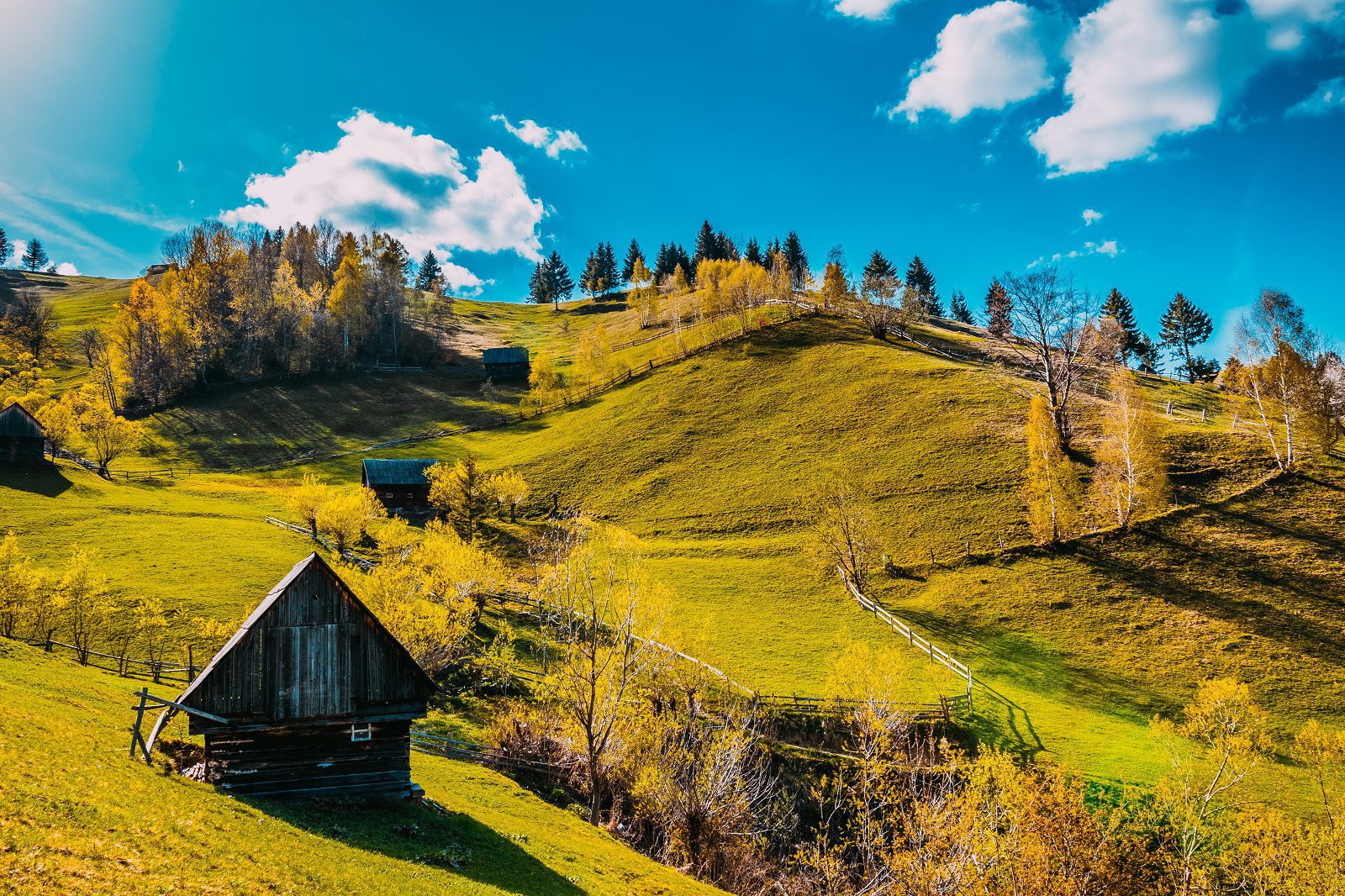 Moeciu de sus Romania