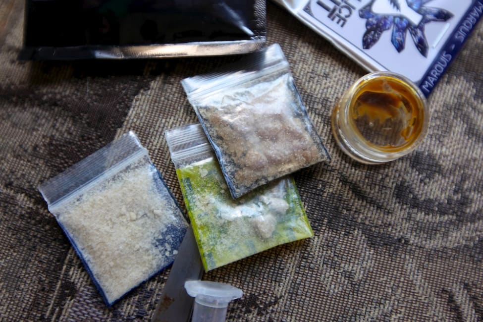 What's in my Baggie ? Documentary on Psychedelics Sociedelic