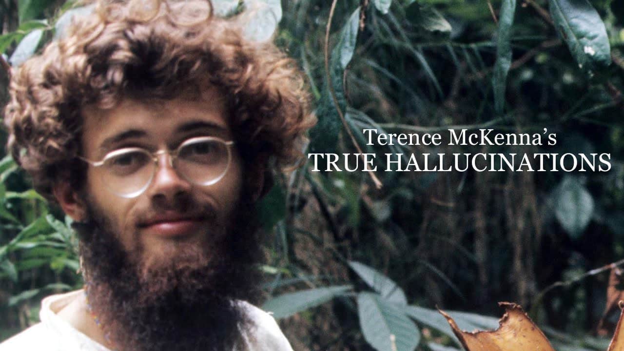 2 Rare, Heartwarming Video Clips of Terence McKenna Smoking Cannabis