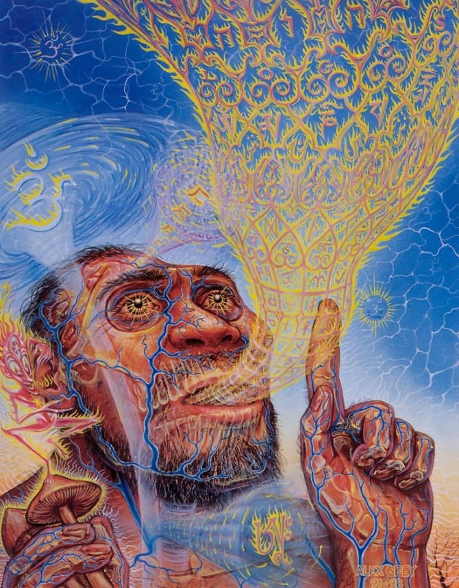 magic mushroom side effect magic mushroom side effect