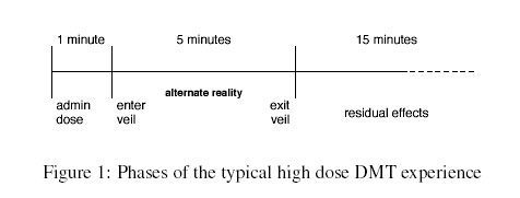 dmt extraterrestrial sociedelic