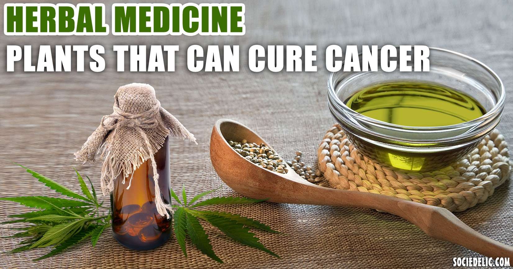 That Certain Herbs Work Very Effectively As A Natural Cure For Cancer