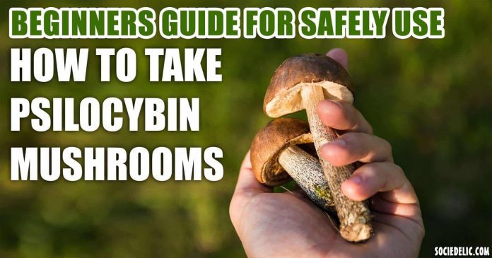 mushrooms psilocybin take guide beginners safely sociedelic