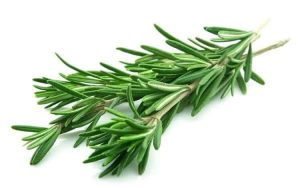 rosemary kill cancer