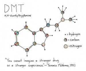 DMT Experience