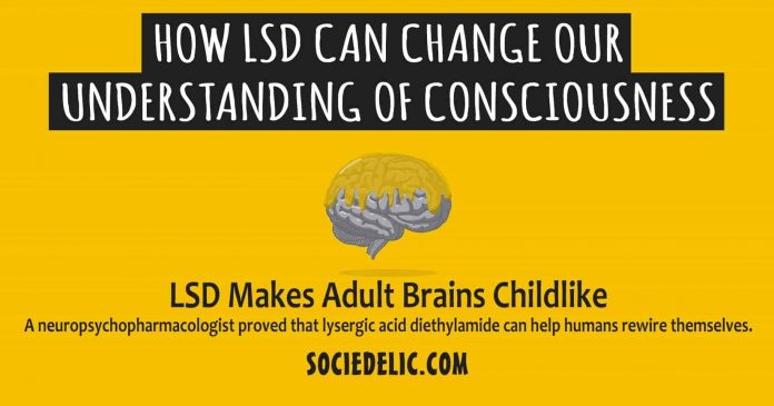 How LSD Can Change Our Understanding of Consciousness