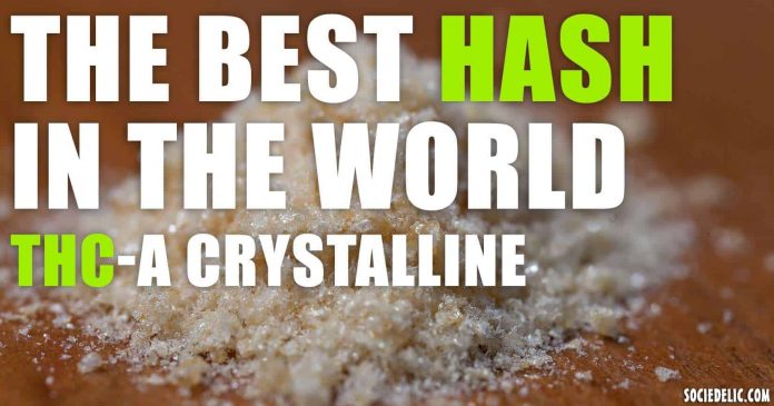 The Best Hash in the World - THC-A CRYSTALLINE