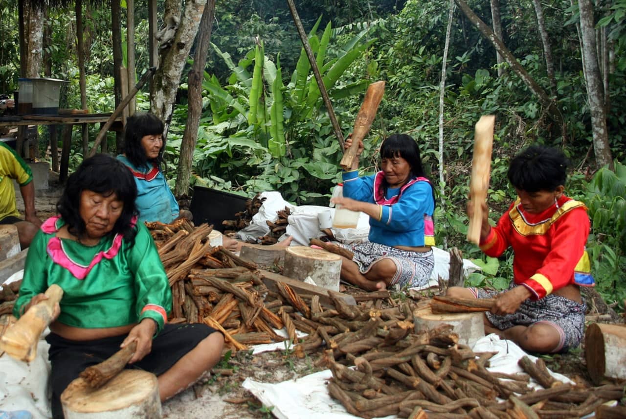 Temple Of The Way Of Light How Ayahuasca Can Heal The - 