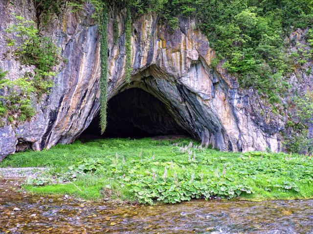 Ribnica Cave