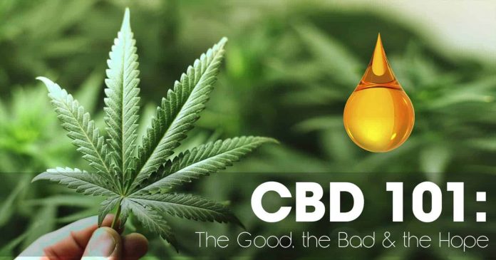 CBD 101