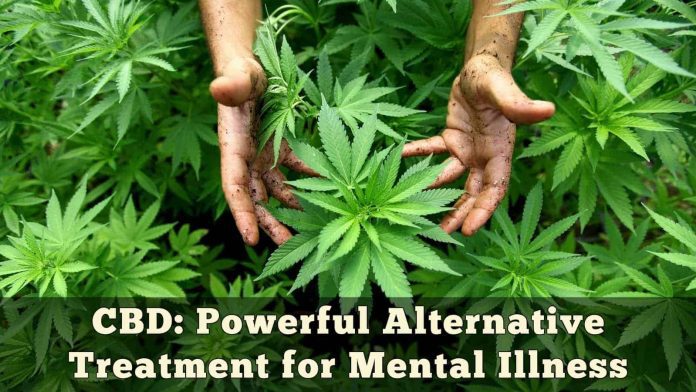 CBD Powerful Alternative Treatment for Mental Illness