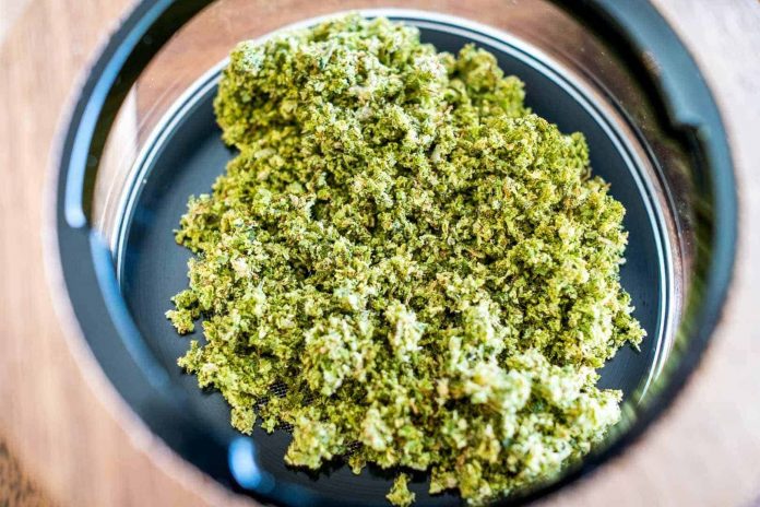 10 Weed Strains To Try Right Now