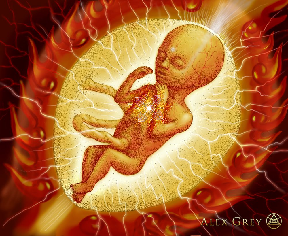 Embryo by Alex Grey