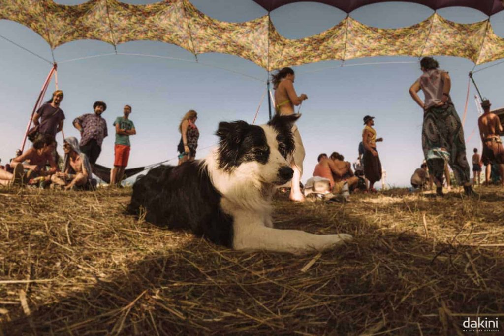 Dakini Festival 2017 - Tuzla, Romania
