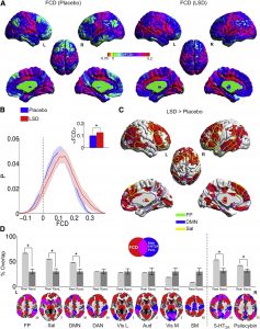 LSD Selectively Increases Global Functional Connectivity of Higher-Level Integrative Cortical and Sub-cortical Regions