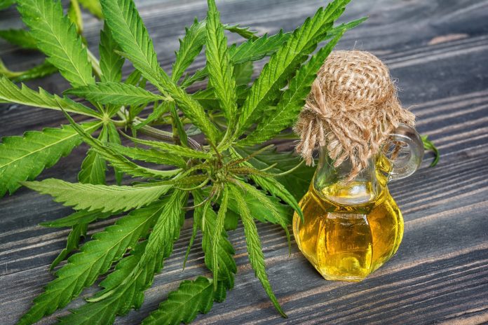 Facts About CBD Oil