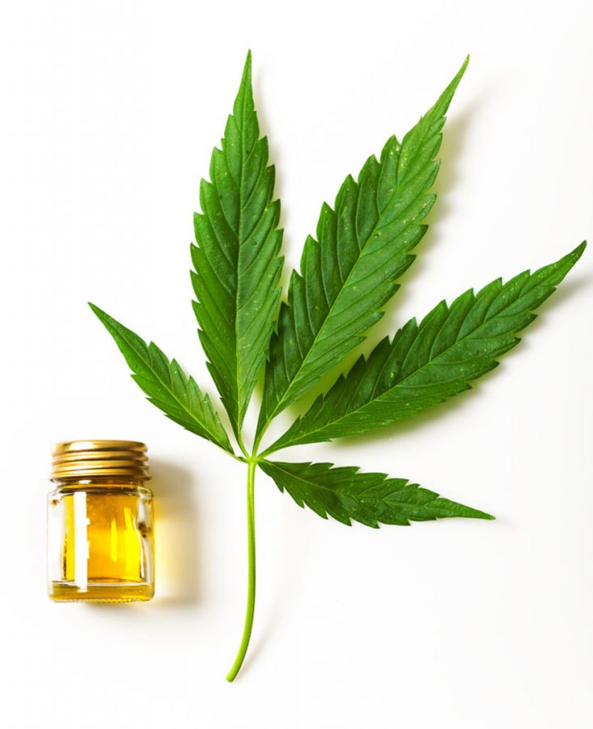 Close up of a cannabis leaf and a bottle with CBD oil on white background.