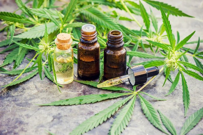 Bottles with CBD oil and few cannabis leafs