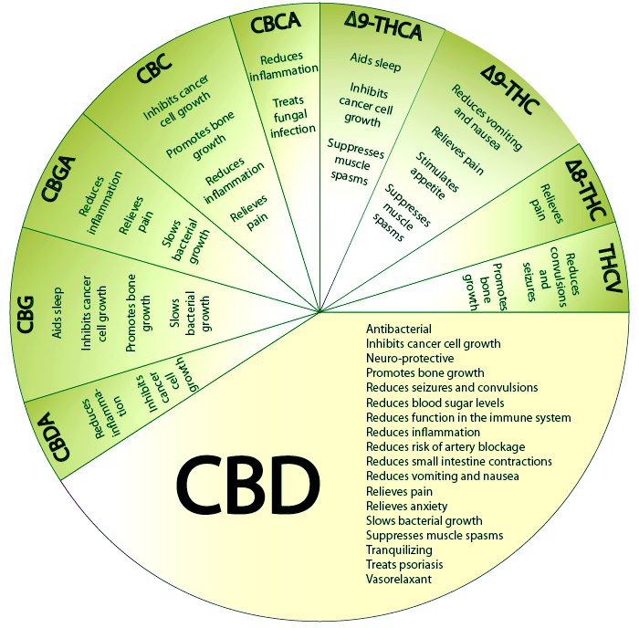 Few facts about CBD