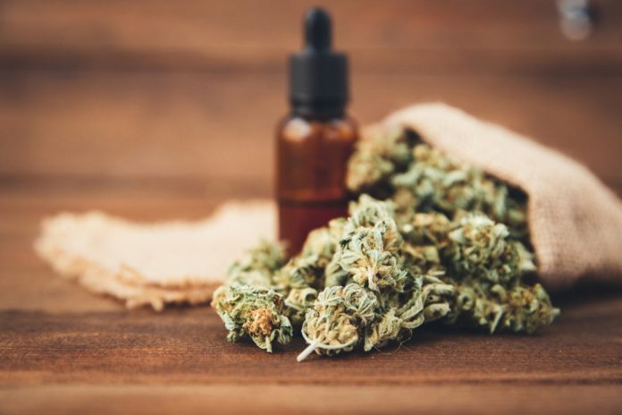 cannabis buds and a bottle with cbd oil