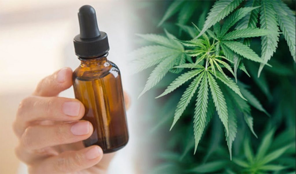 cannabis leaf and a bottle with CBD oil