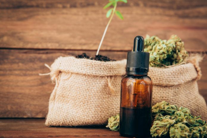 CBD oil and cannabis buds