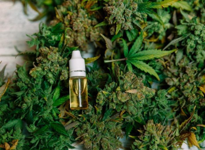 Can CBD Get You High? Learn of CBD Benefits