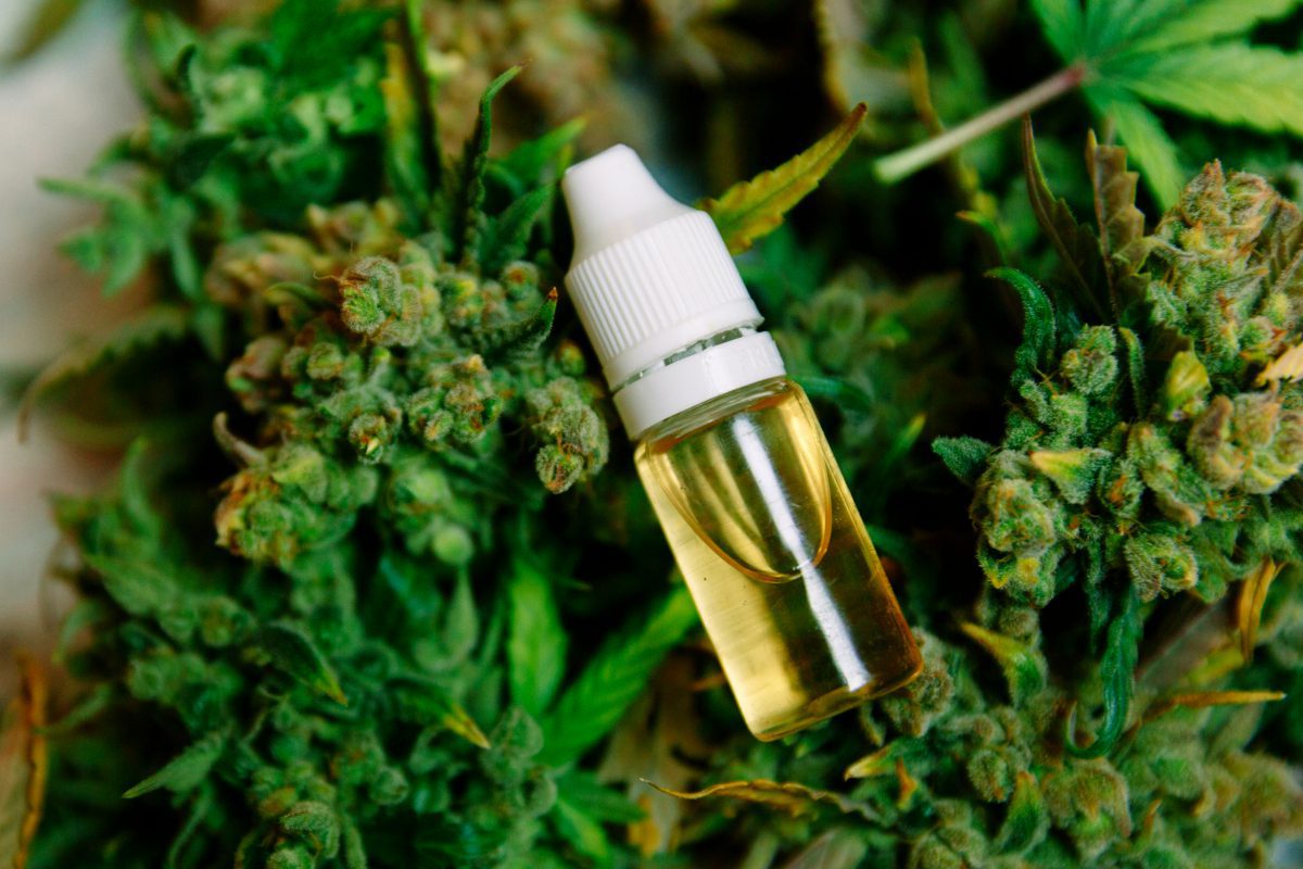 What Makes CBD Oil So Expensive? - Sociedelic