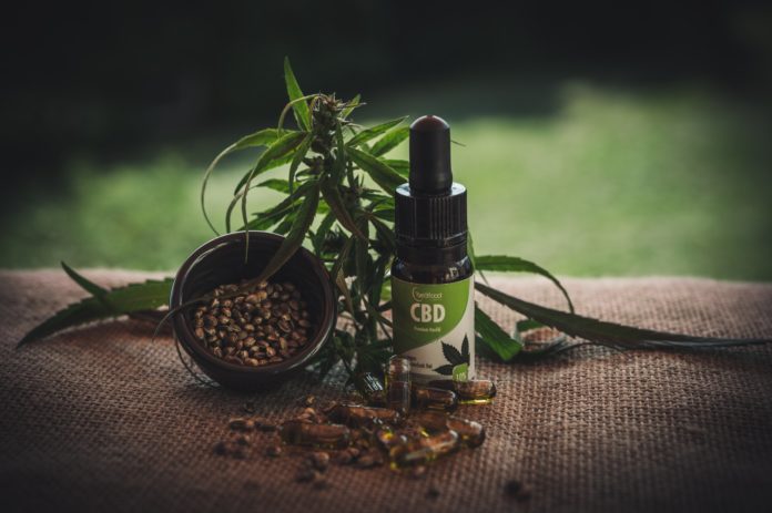 CBD Oil is Becoming New Favorite in the Medical Field – Here is Why?