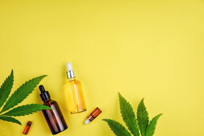 Why CBD Oil Is Gaining Popularity