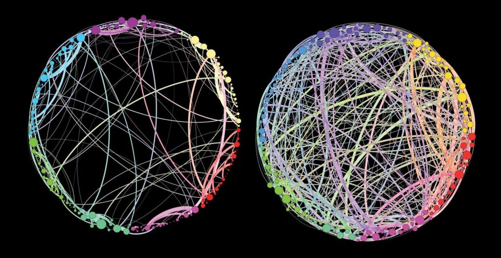 The images represent the interconnectivity of the brain on placebo and psilocybin