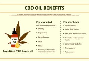 is cbd oil legal in mn