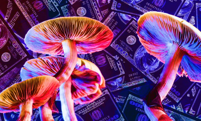 10 Steps to Launch your Psychedelic Business