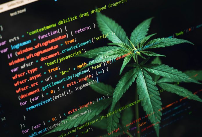 What to Know About Programming and Cannabis